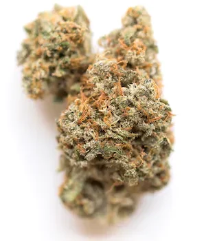 Sundae Driver