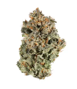 Sherbert