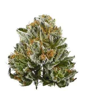 Bubba Kush