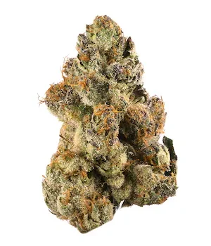 Gelato