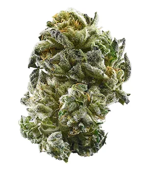 Girl Scout Cookies